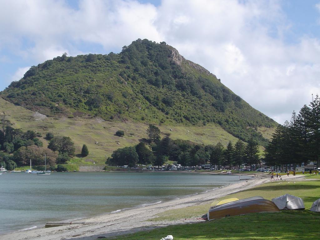 Seagulls Guesthouse Mount Maunganui Dış mekan fotoğraf