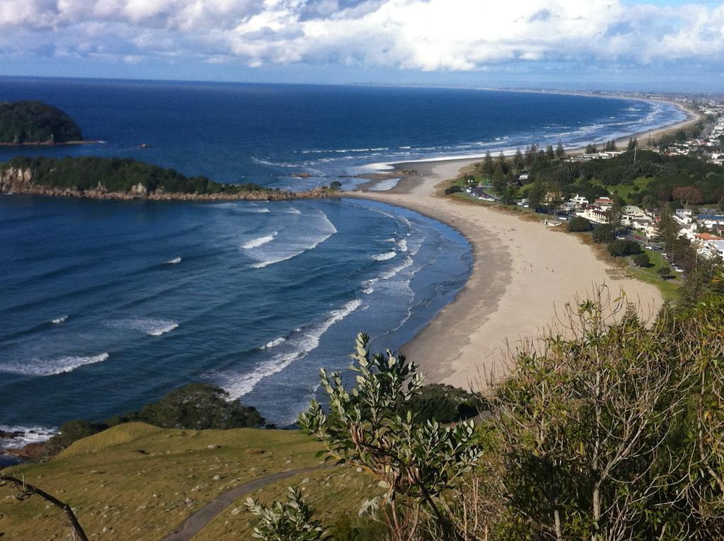 Seagulls Guesthouse Mount Maunganui Dış mekan fotoğraf